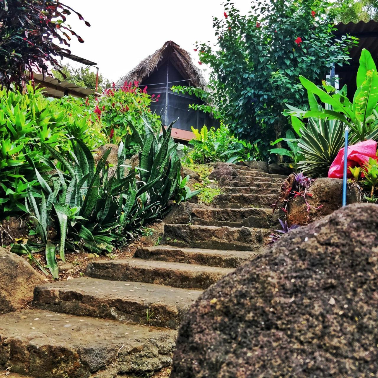 Finca Del Sol Eco Lodge Santa Cruz Dış mekan fotoğraf